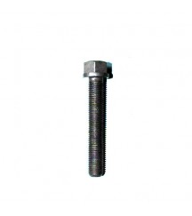 Flange screw 11700326