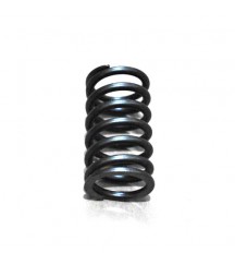 Compression spring 11700347
