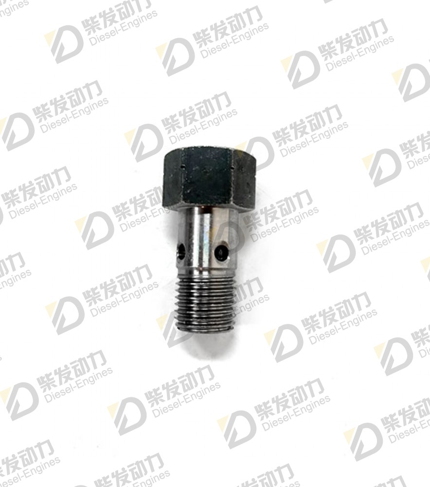 Valve 20405847 