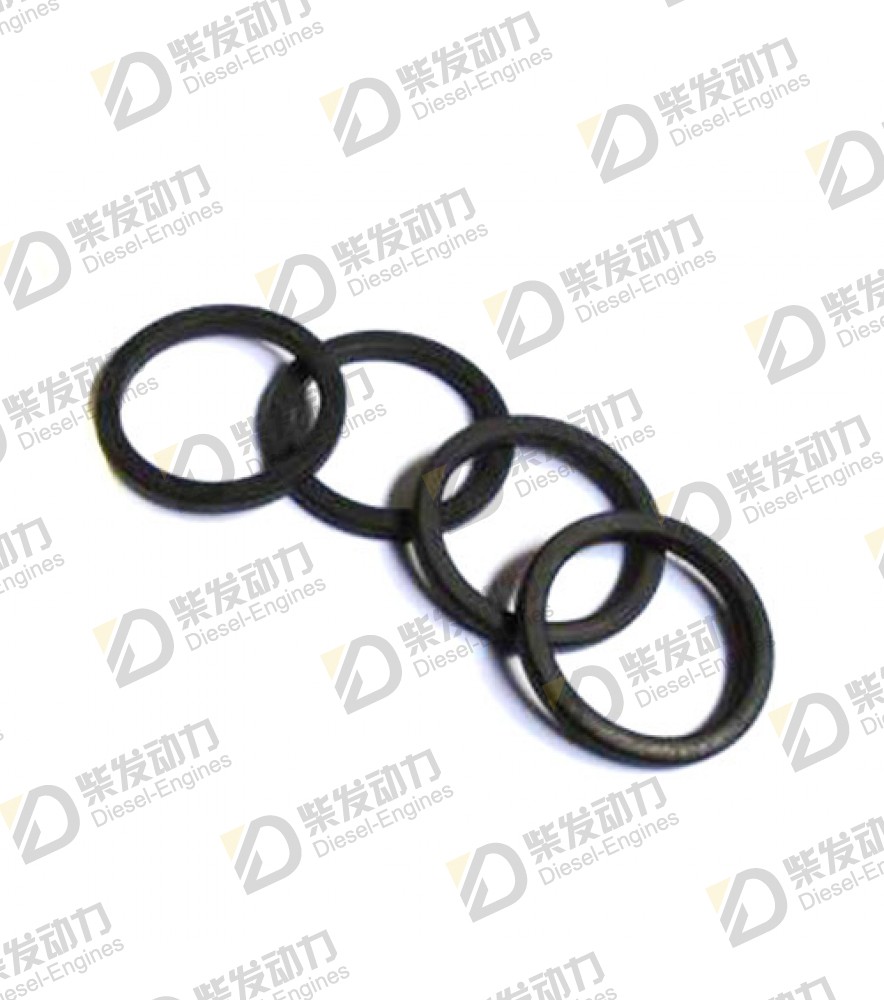 Sealing ring 1543572 