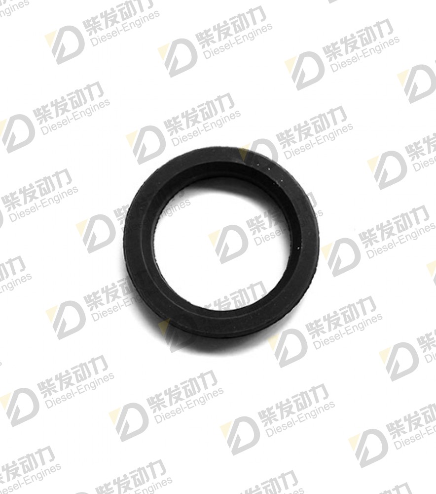 Sealing ring 1543578 