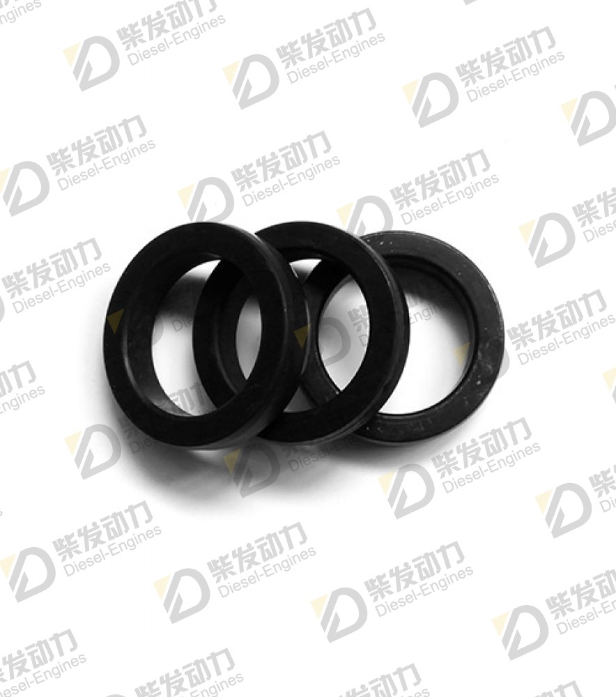 Sealing ring