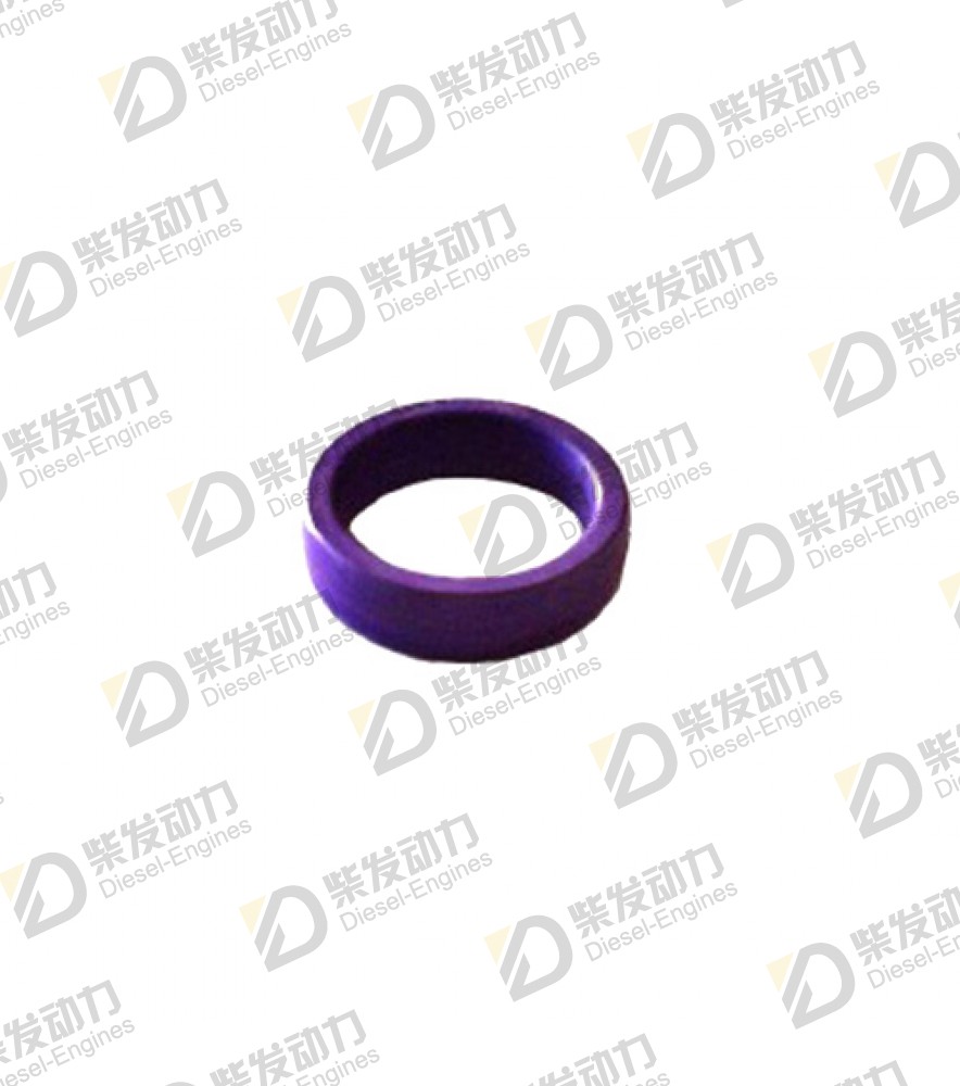 Sealing ring 1547255 