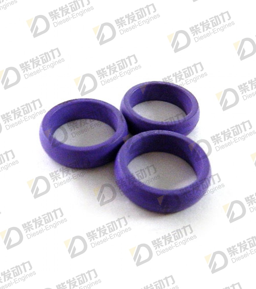 Sealing ring 21940615 