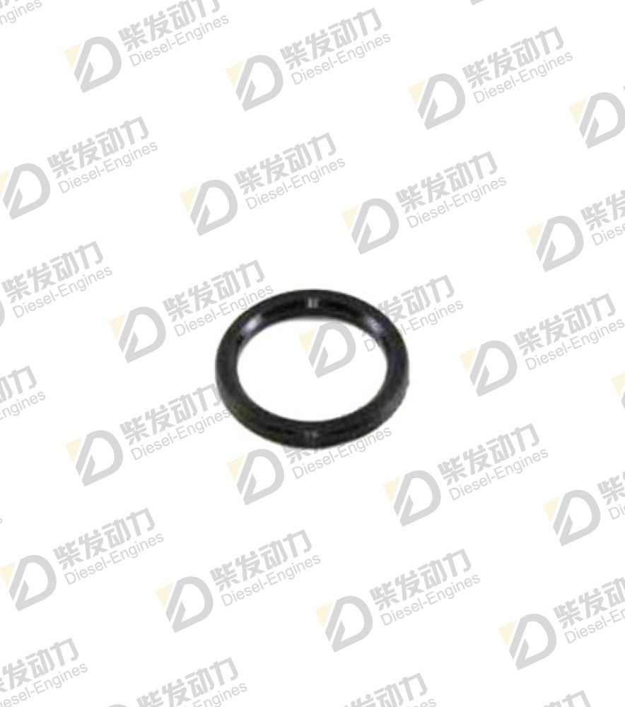 Sealing ring 1556905 