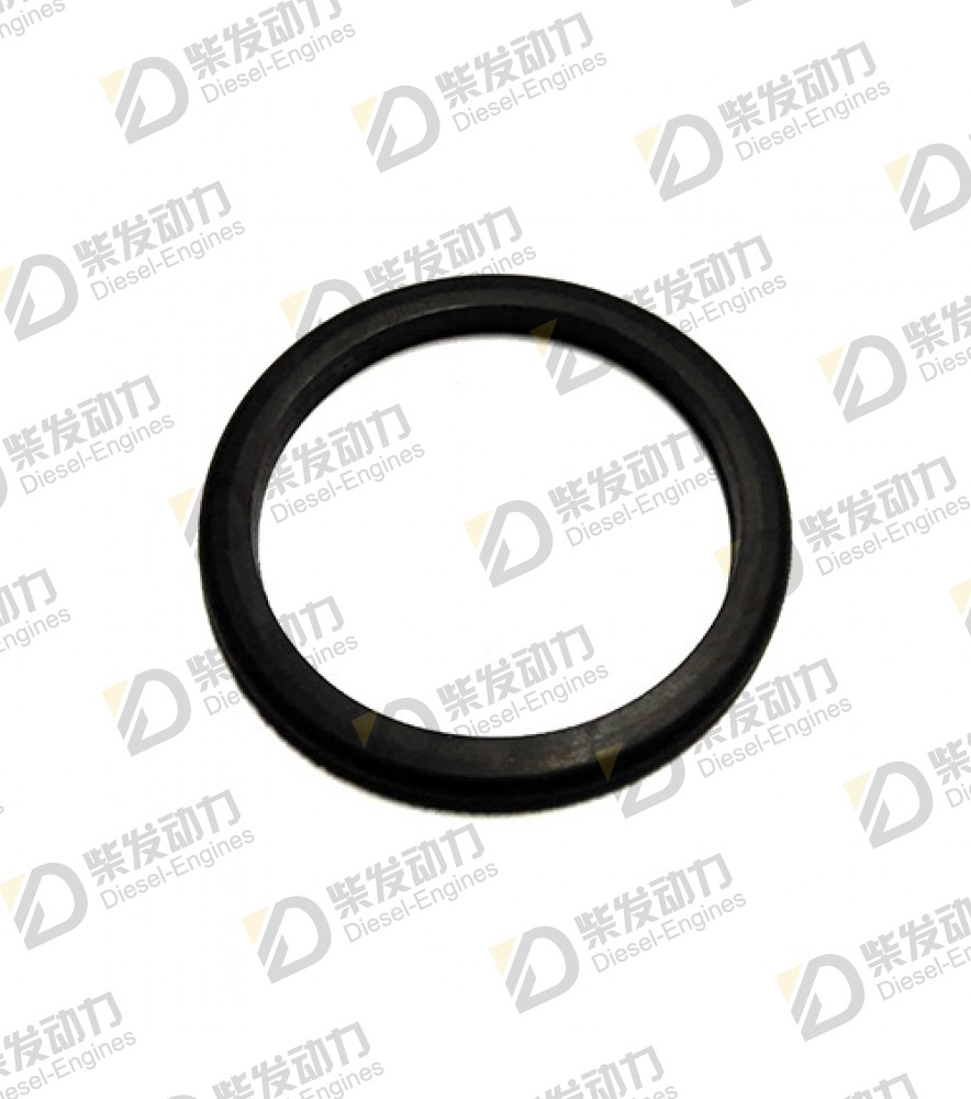 Sealing ring