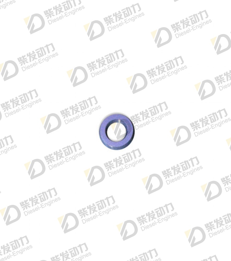 Sealing ring 1636309 