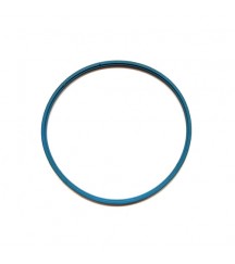 Sealing ring 1675066