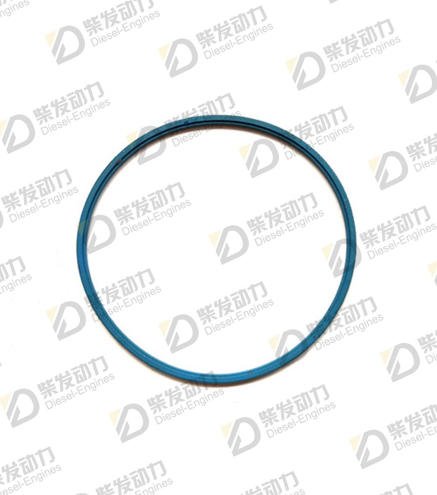 Sealing ring 1675066 