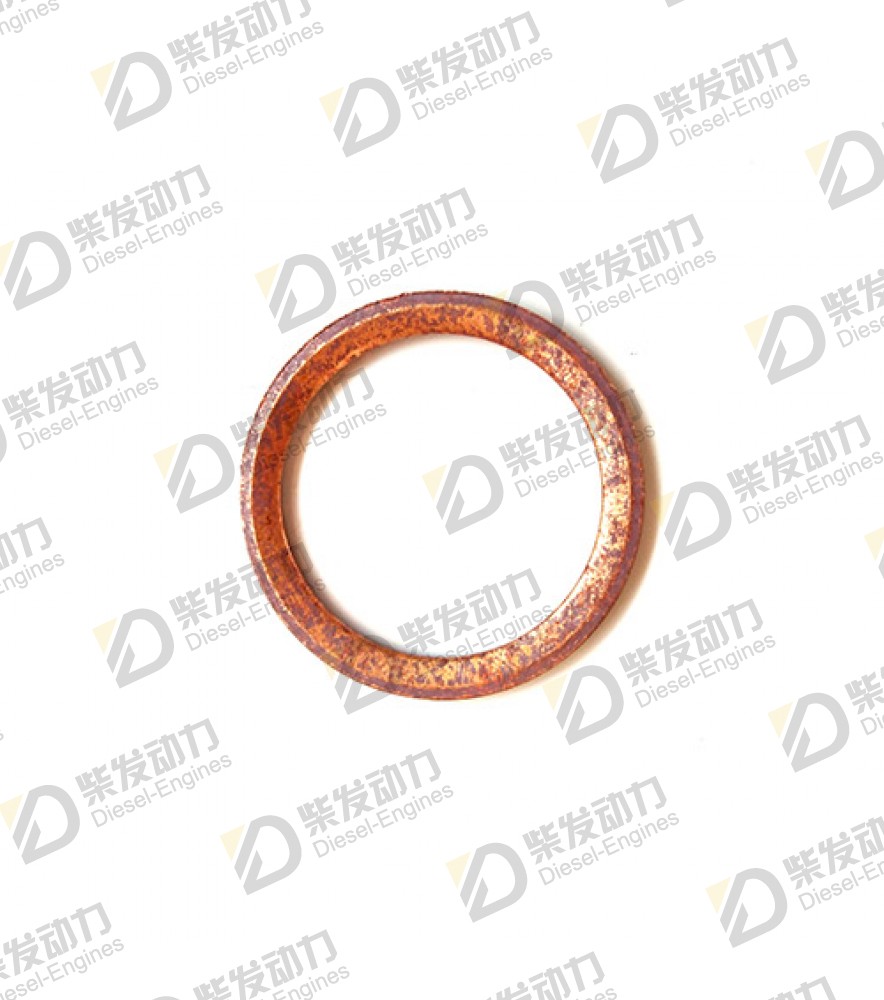 Gasket 18813 