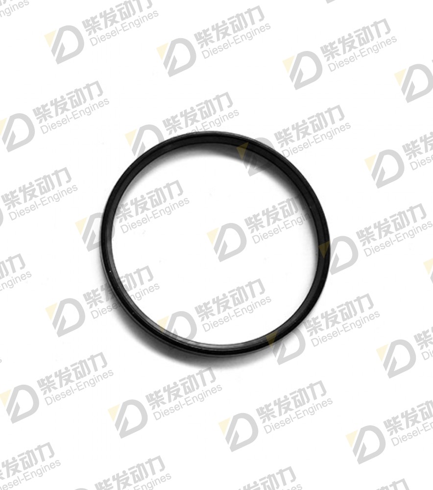 Sealing ring 20381352 