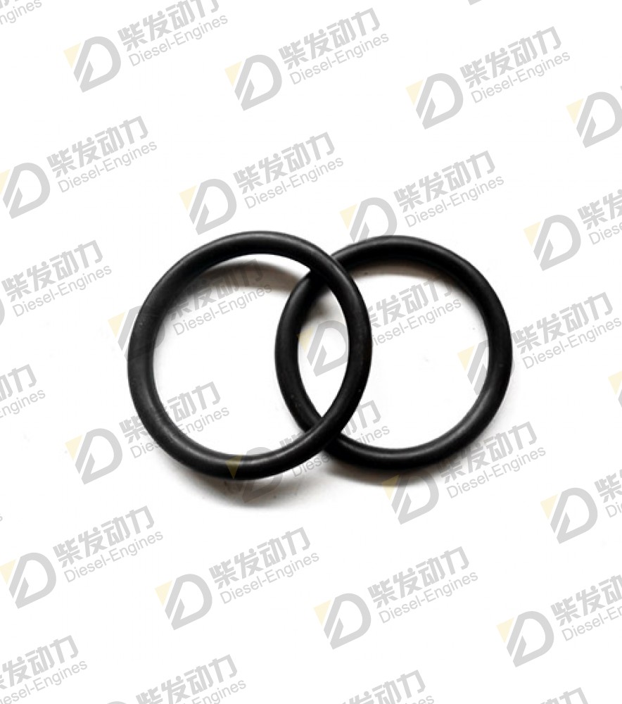 Sealing ring 20405536 