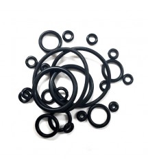 O-ring 20405652