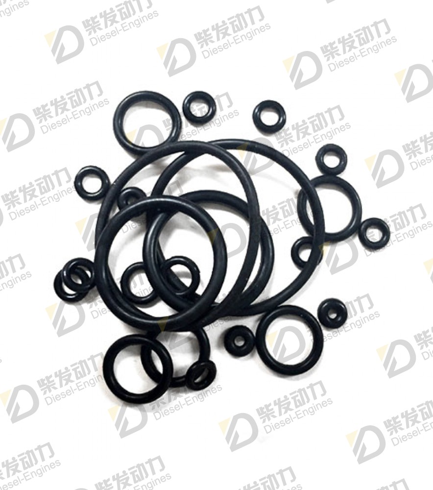 O-ring 20405652 