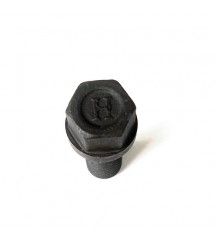 Flange screw 20405874