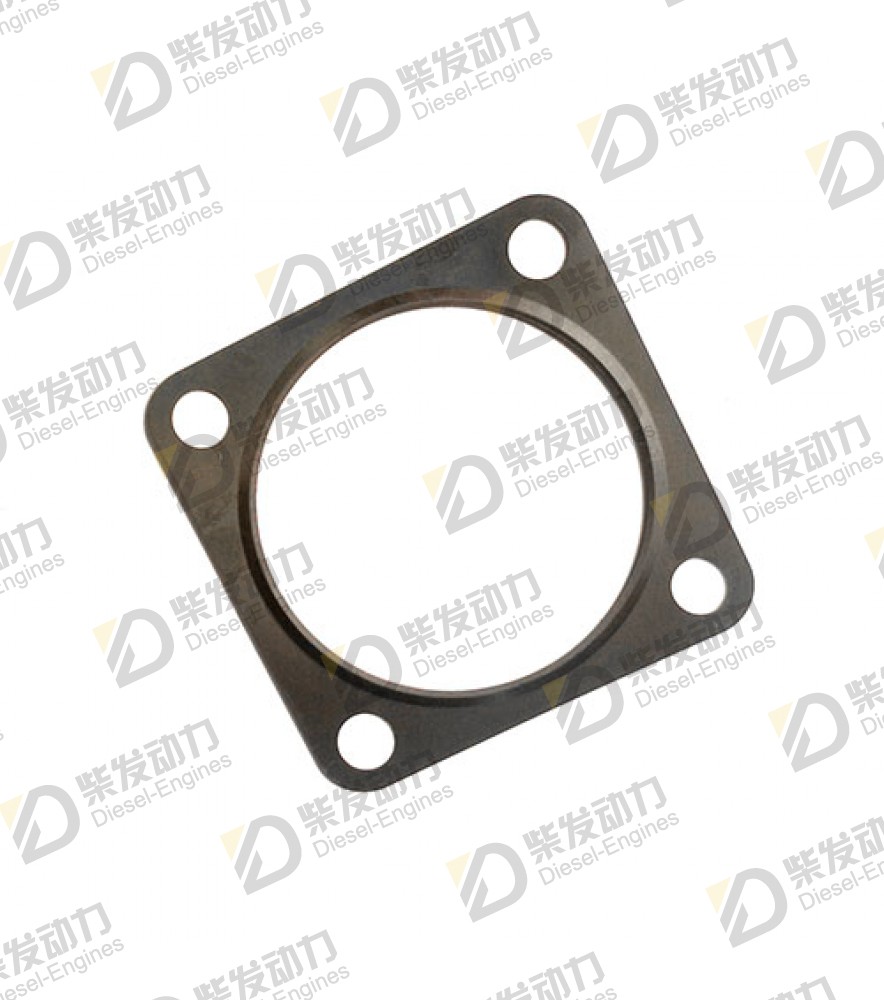 Gasket