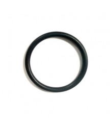 O-ring 20412325