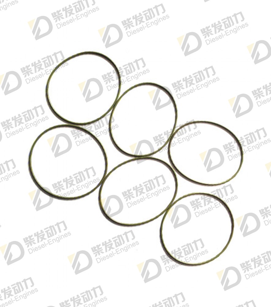 O-ring 20412762 