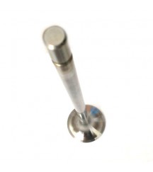 Exhaust valve 20441486
