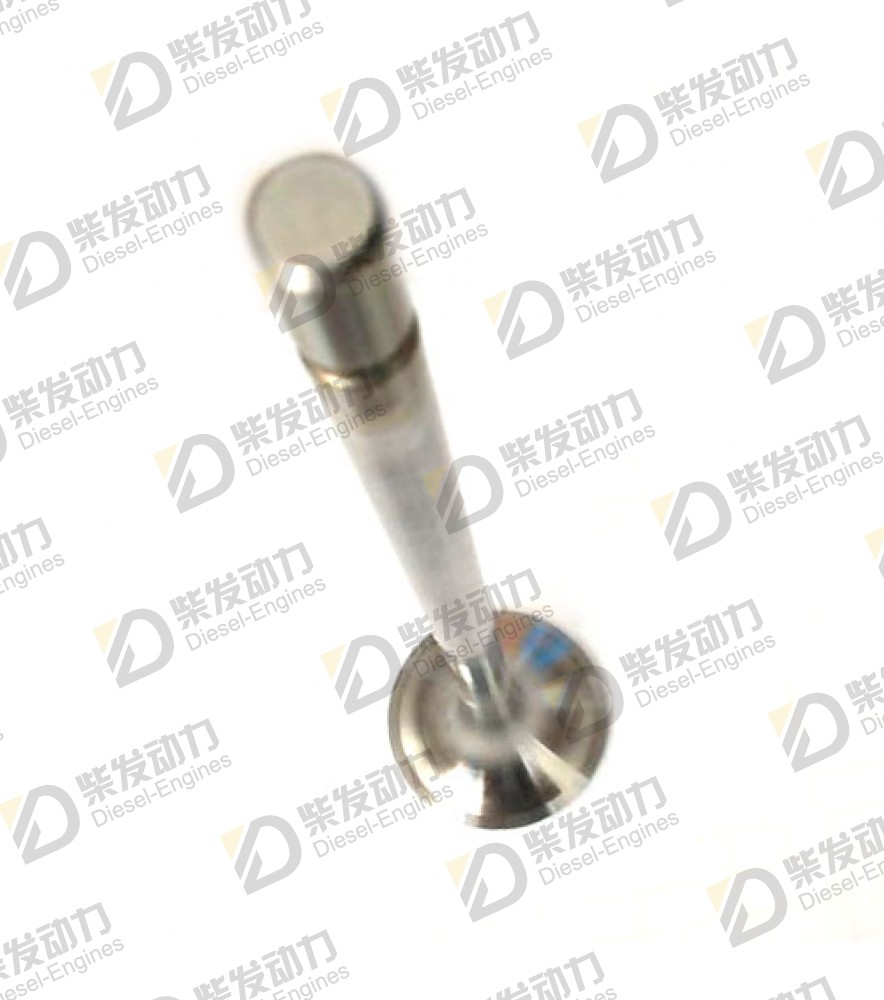 Exhaust valve 20441486 