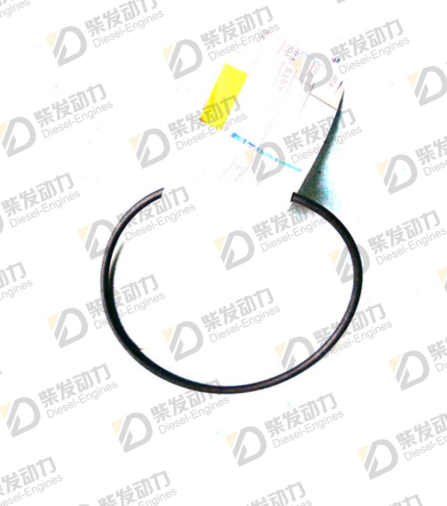 O-ring 20441519 