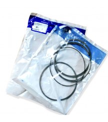 Piston ring 20450775