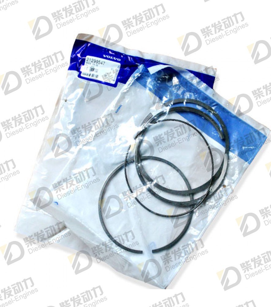 Piston ring kit 21299547 