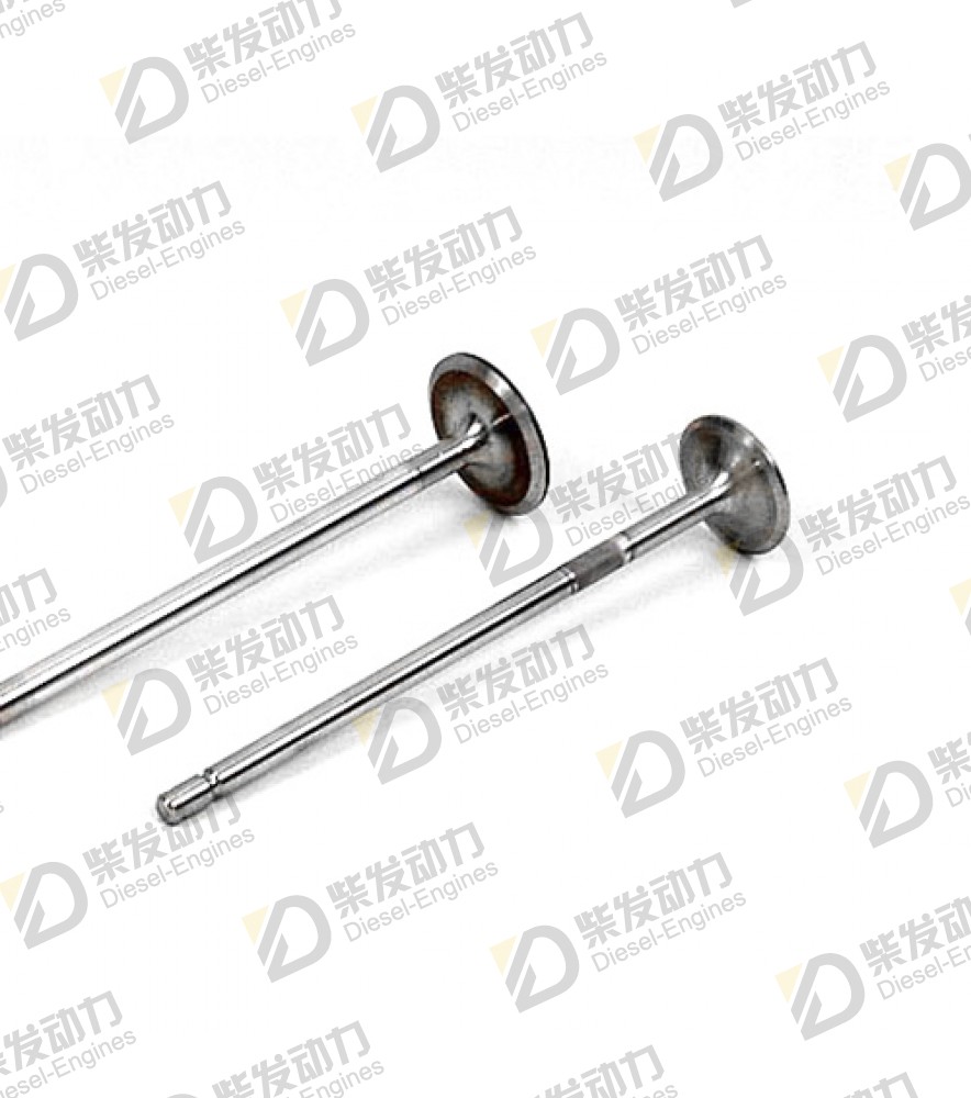 Inlet valve 20459326 