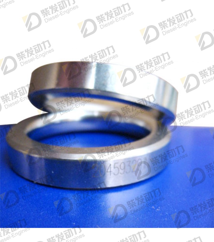 Valve seat, intake 20459329 