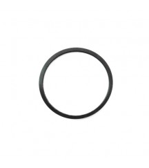 Sealing ring 20459961