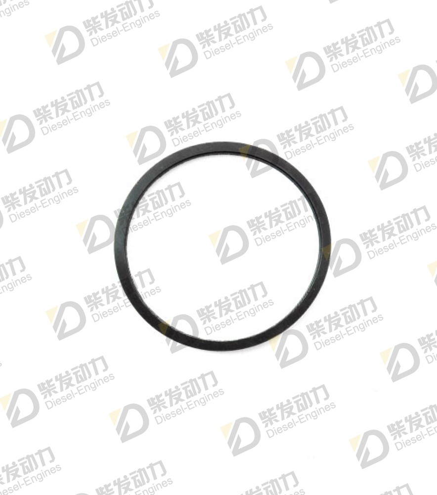 Sealing ring 20459961 