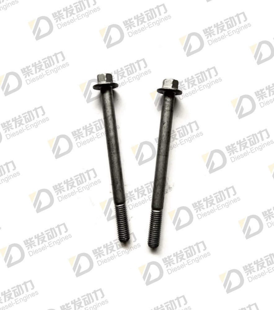 Flange screw 20460124 