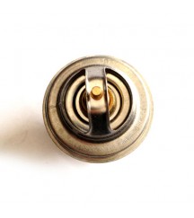 Thermostat 20460312