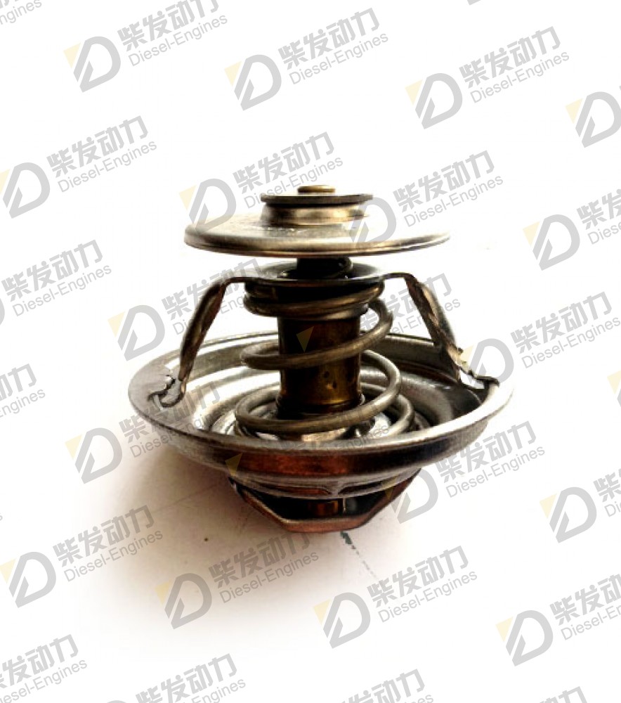 Thermostat 20460312 
