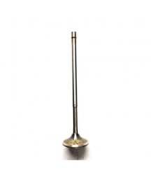 Exhaust valve 20513285