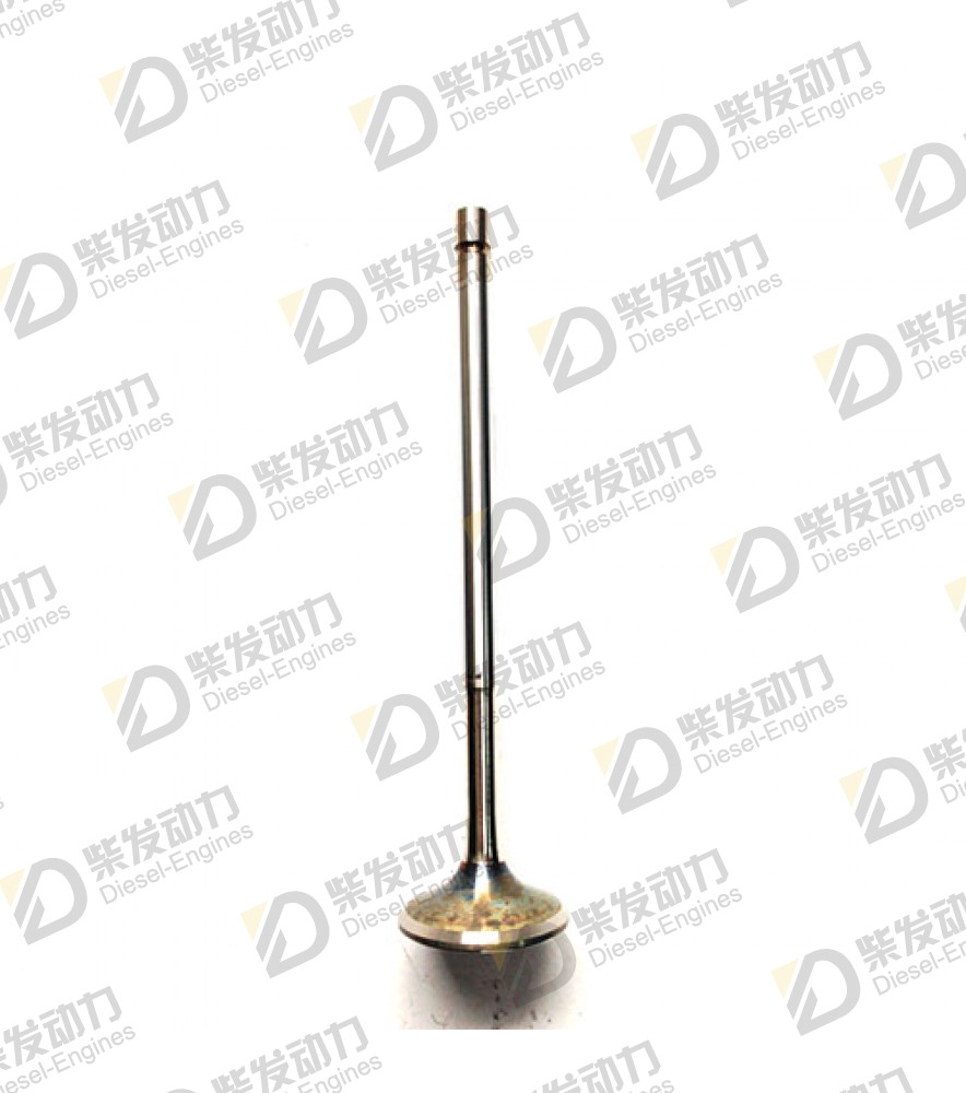 Exhaust valve
