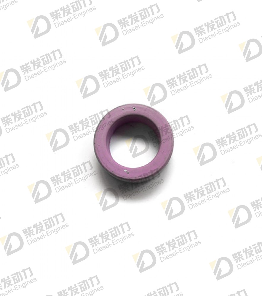 Sealing ring 20526428 