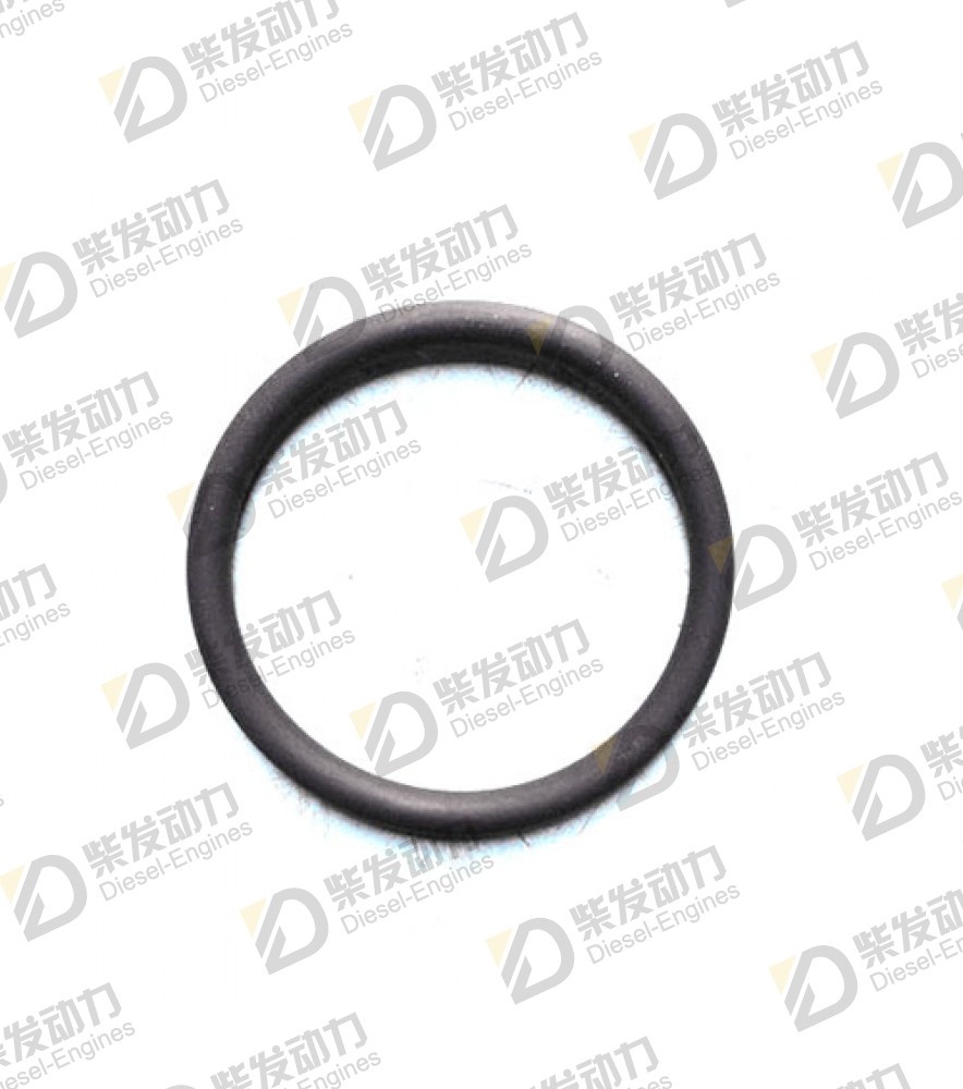 O-ring 20536487 