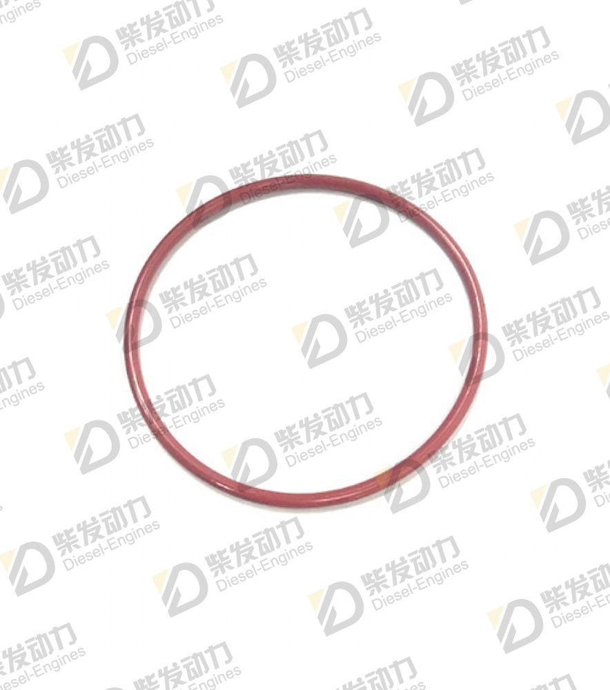 Sealing ring 20547205 