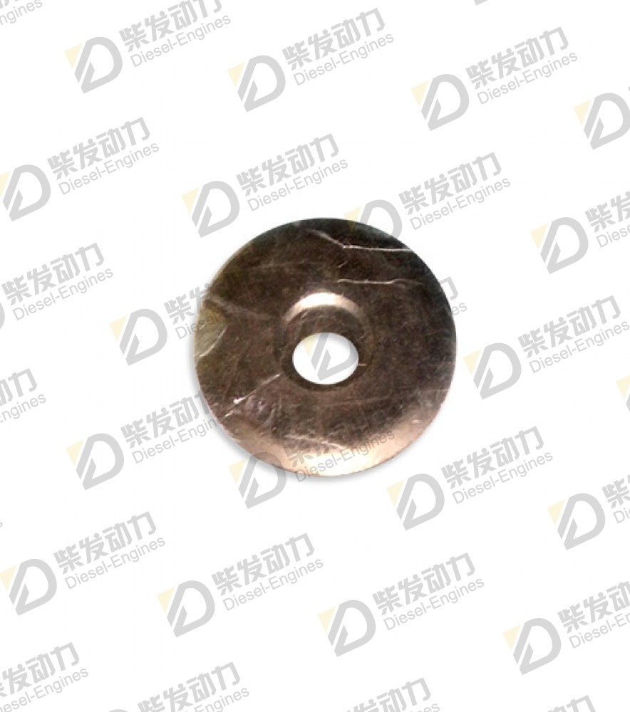 Valve spring washer 20551396 