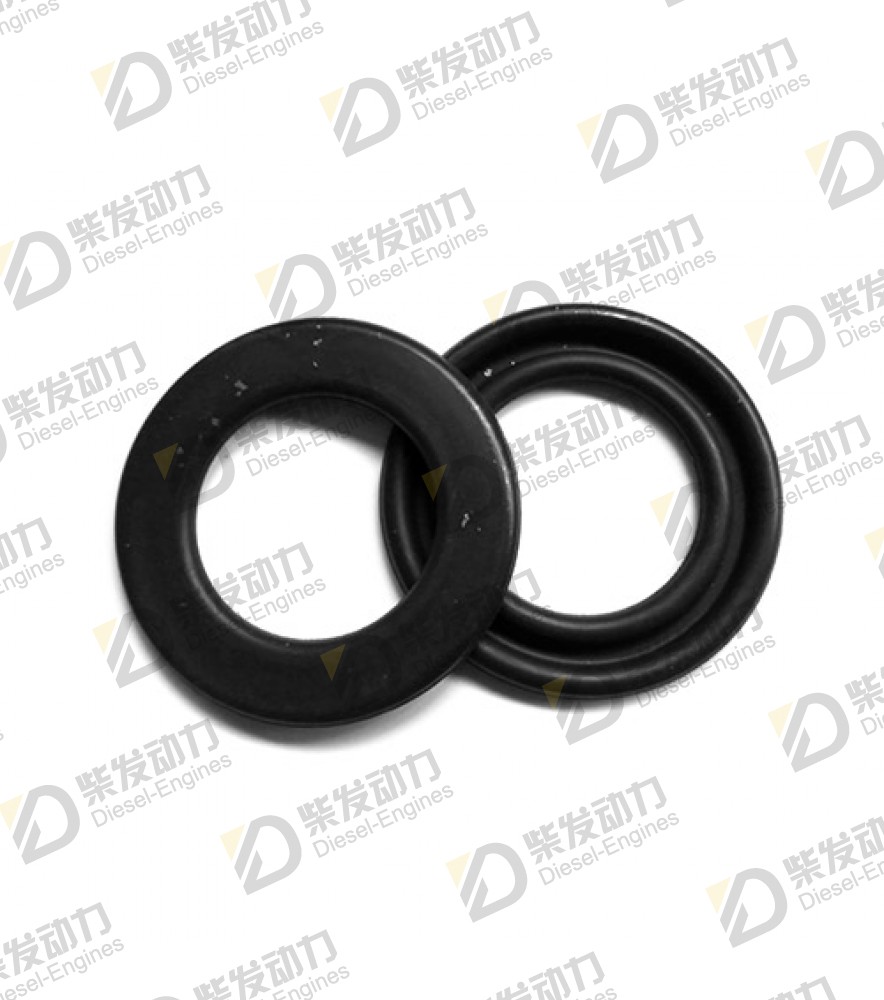 Sealing ring 20551483 