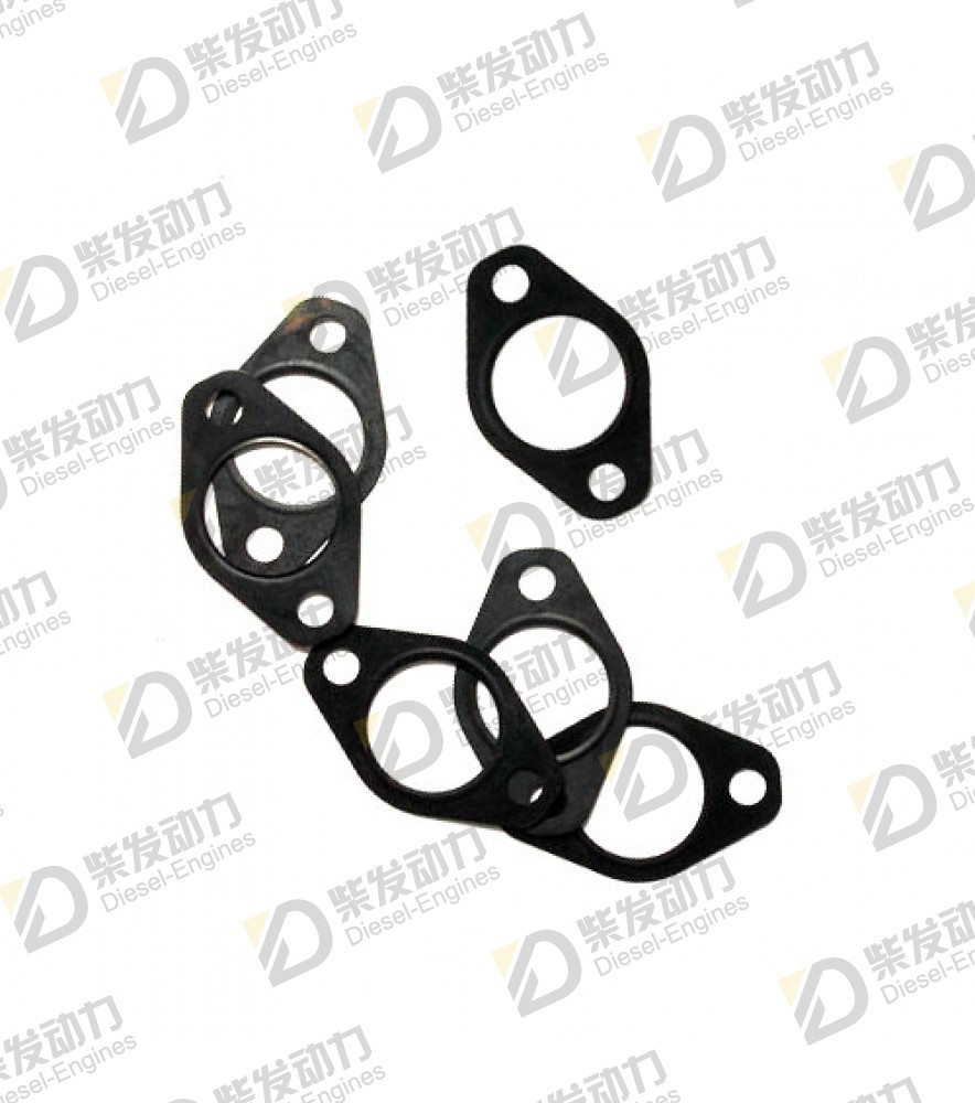 Gasket 20557208 