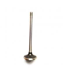 Exhaust valve, exhaust 20565912