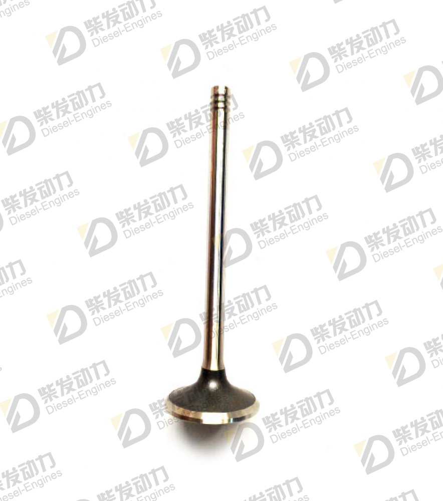Exhaust valve, exhaust 20565912 
