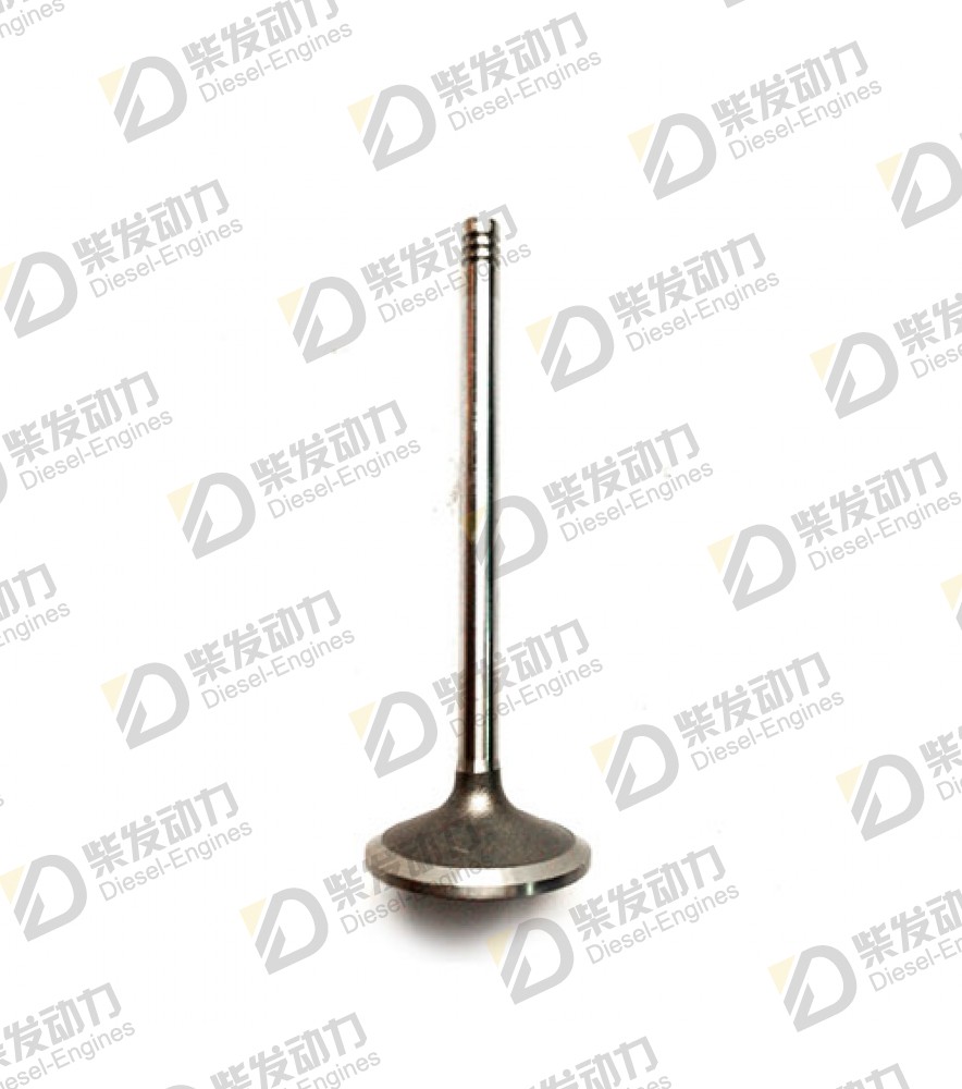 Inlet valve, intake 20714469 