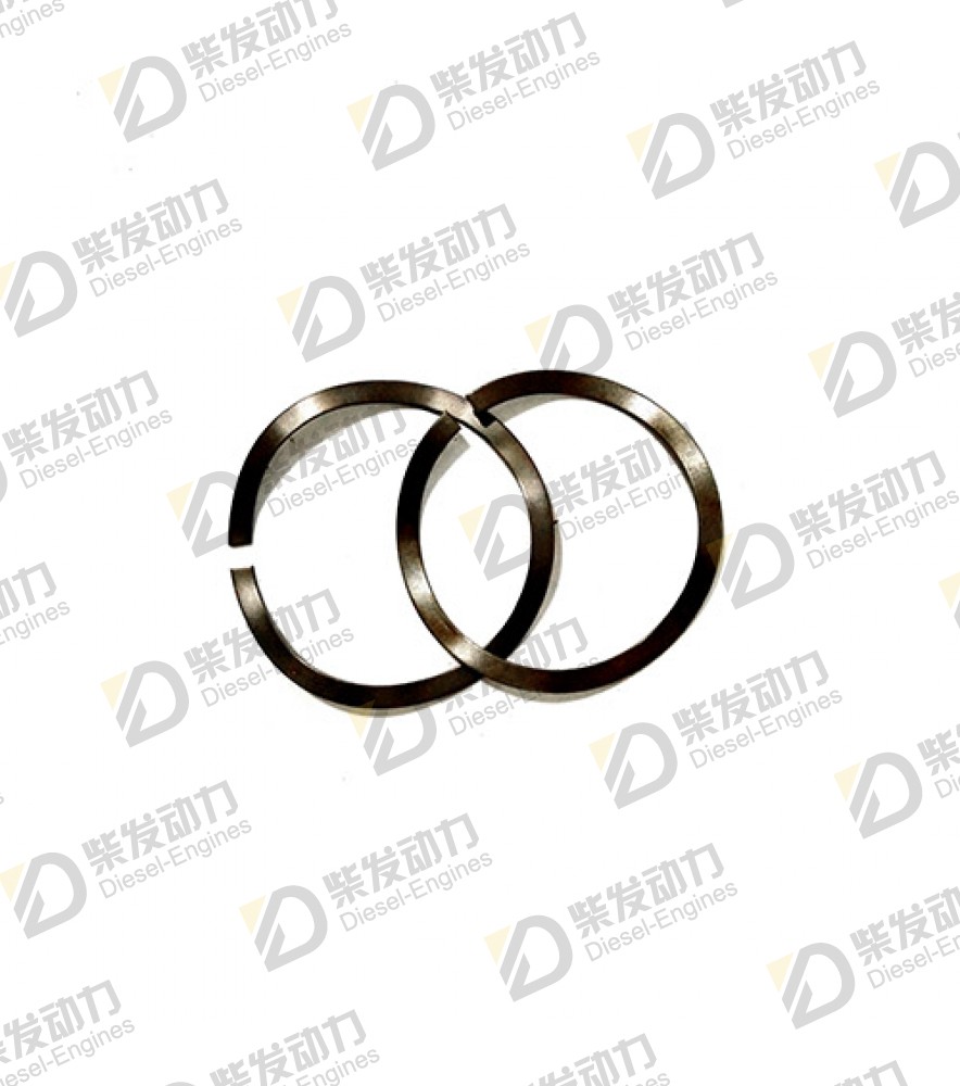 Spring washer 20766219 