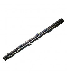 Camshaft 20894565