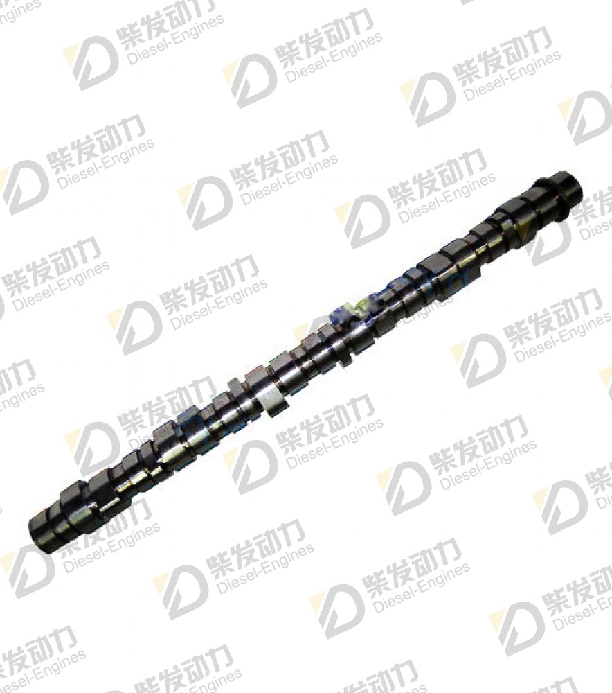 Camshaft 20894565 