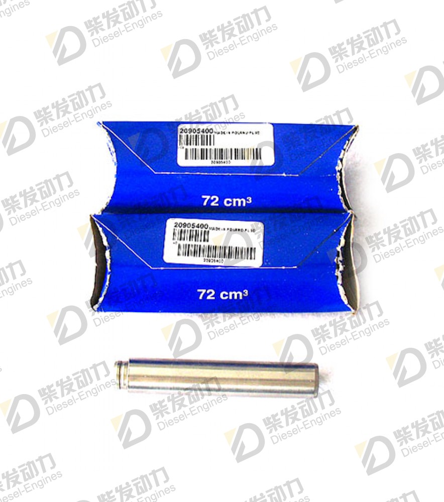 Valve guide 20905400 