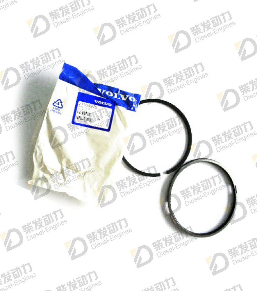 Piston ring 21304975 